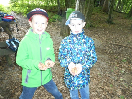 Waldtage 1a und 1b