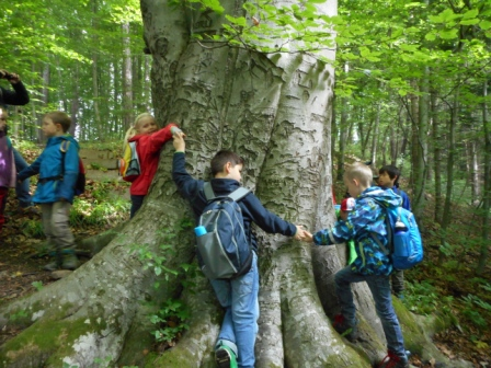 Waldtage 1a und 1b