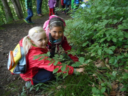 Waldtage 1a und 1b