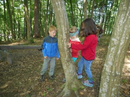 Waldtage 1a und 1b