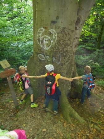 Waldtage 1a und 1b