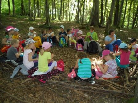 Waldtage 1a und 1b