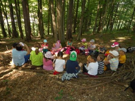 Waldtage 1a und 1b