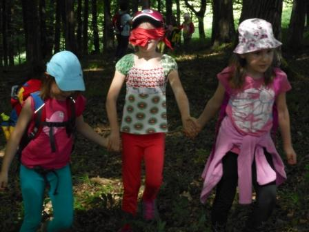 Waldtage 1a und 1b