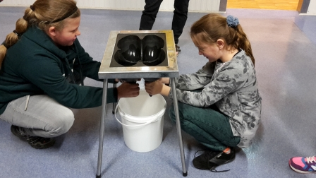 Projekttage der 4.Klassen im Waldviertel