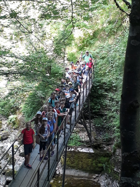 Projekttag Ötscher - Tormäuer