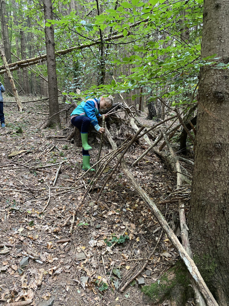 Waldtag der 1 Klassen
