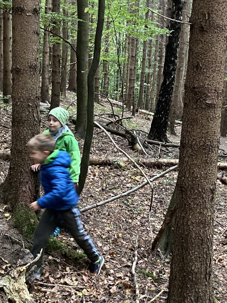 Waldtag der 1 Klassen