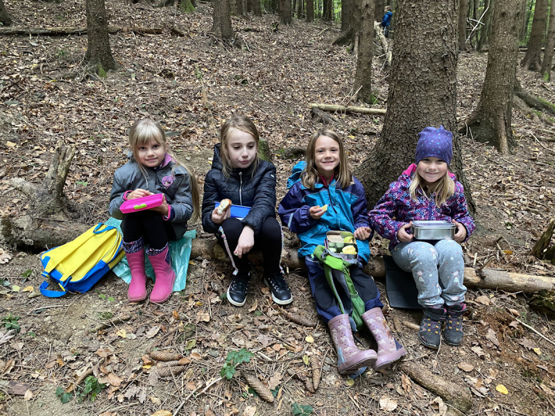 Waldtag der 1 Klassen