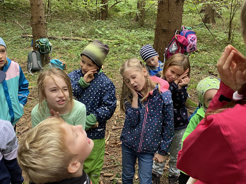 Waldtag der 1 Klassen