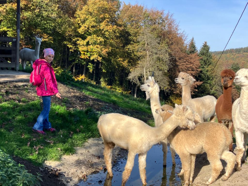 Besuch im St.Veiter-Kraftwerk