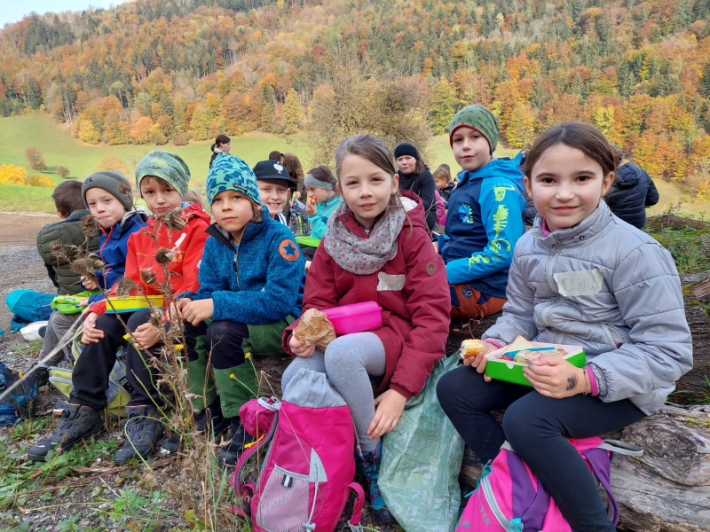 Wissenwertes über den Wald