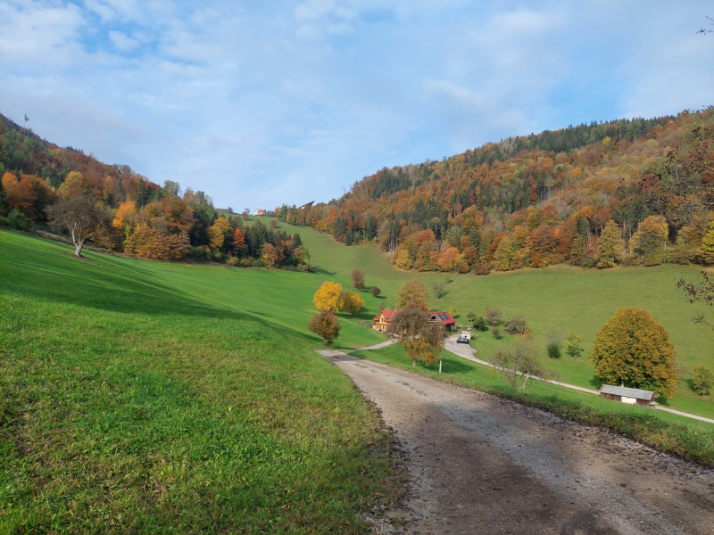 Wissenwertes über den Wald