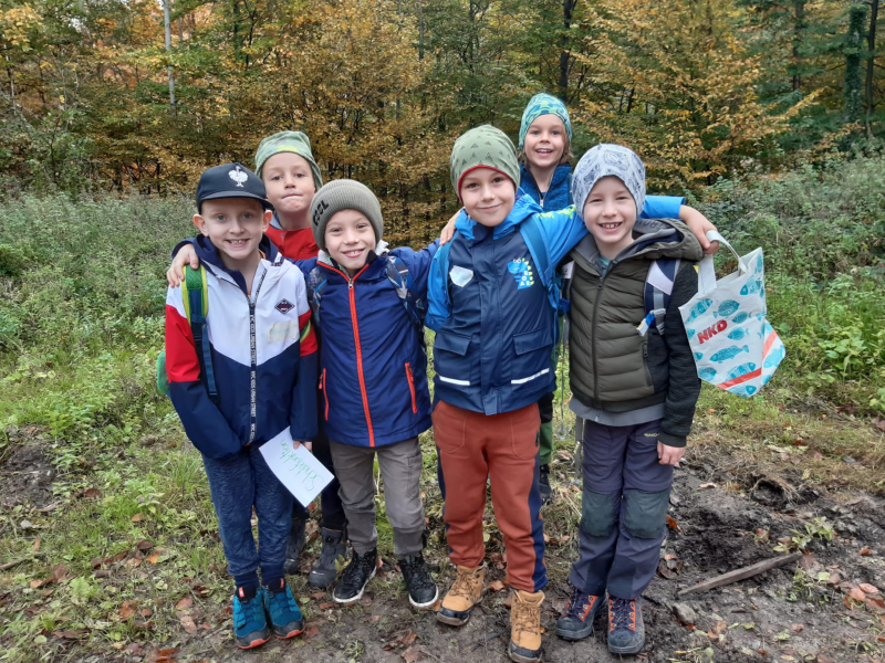 Wissenwertes über den Wald