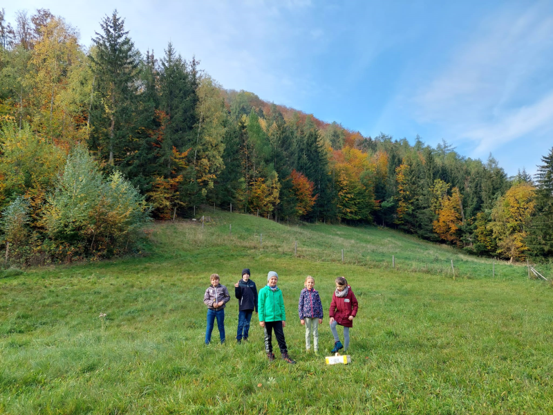 Wissenwertes über den Wald