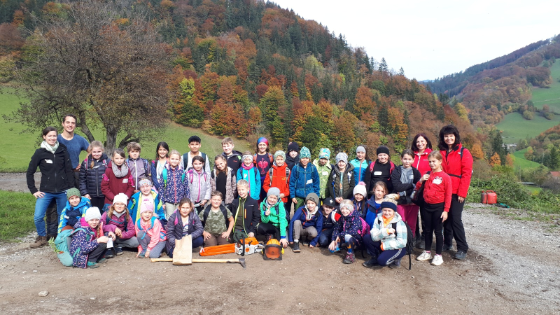 Wissenwertes über den Wald