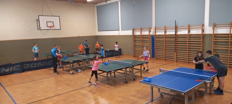 Tischtennisschnupperstunde