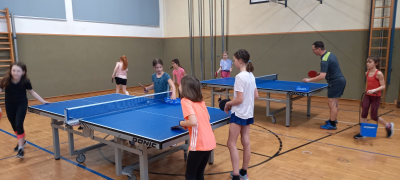 Tischtennisschnupperstunde