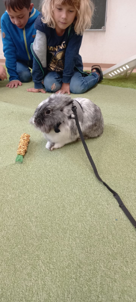 Tierbesuch in der Vorschulklasse