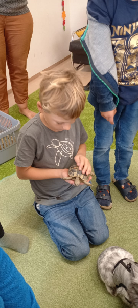 Tierbesuch in der Vorschulklasse