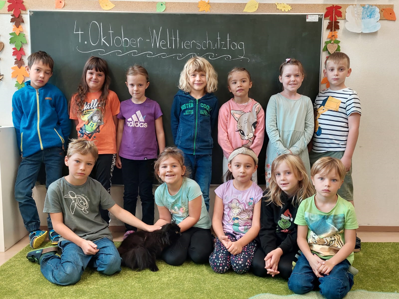 Tierbesuch in der Vorschulklasse