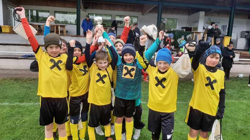 Sumsi Cup