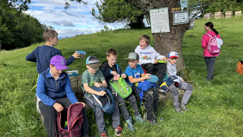 Wandertag 3. Klassen - Kukubauerhütte