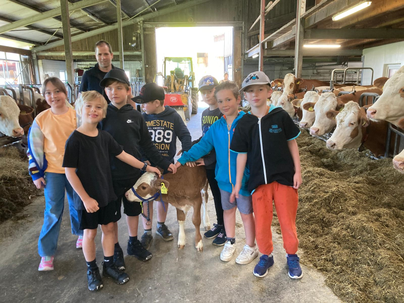 Bauernhoftag der 2. Klassen bei Familie Grundböck im