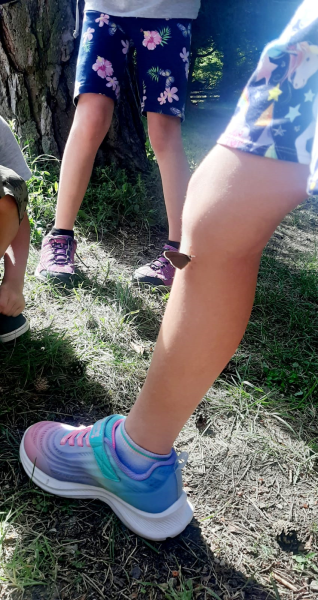 WANDERUNG auf den Staff