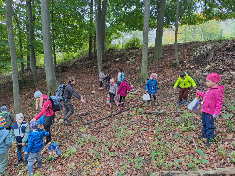 Waldtag der VSKL im Pfenningbach