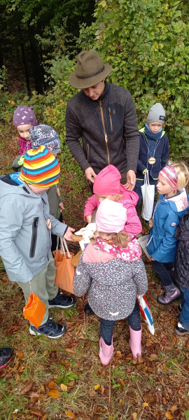 Waldtag der VSKL im Pfenningbach