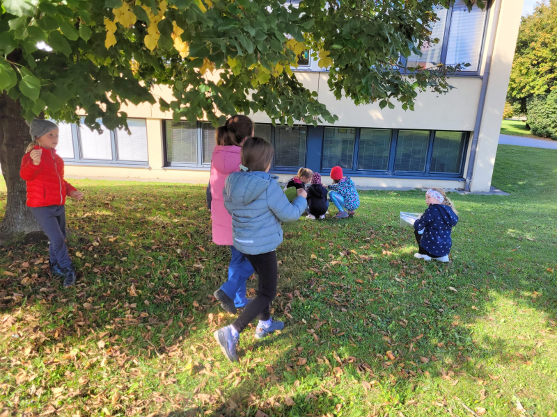 2b auf Entdeckungstour