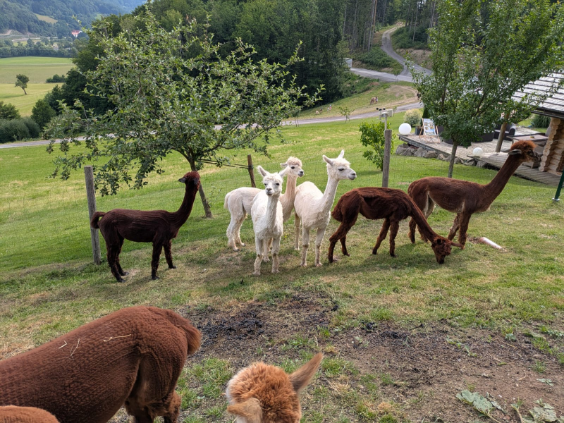 Wandertag der 3.Klassen