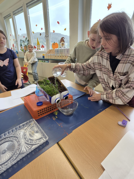 Experimente rund um den Waldboden