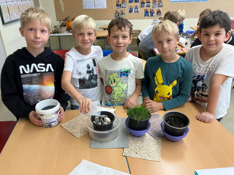 Experimente rund um den Waldboden