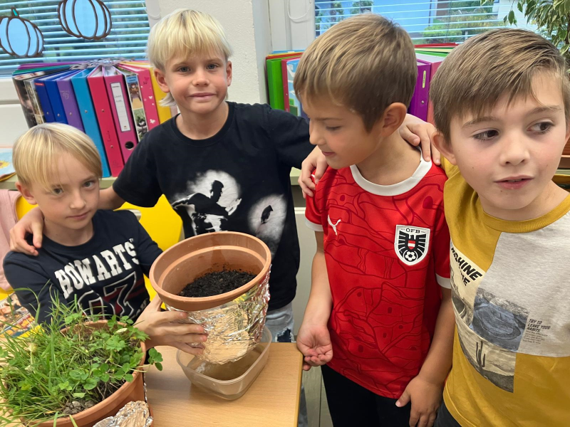 Experimente rund um den Waldboden