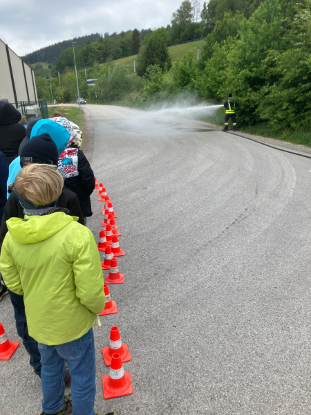 Hallo Auto
