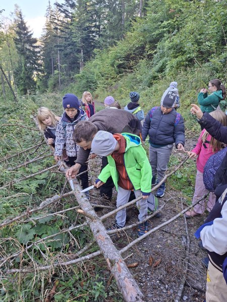 Achtung:"Baum fällt!"