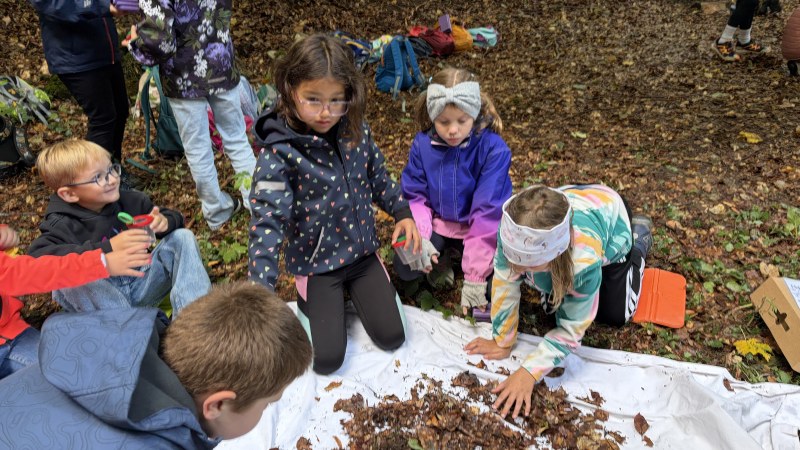 Achtung:"Baum fällt!"
