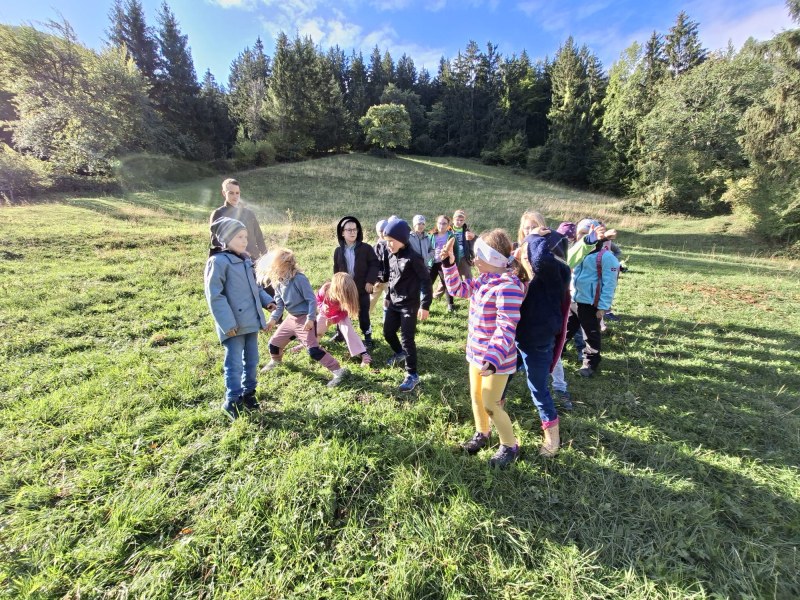 Achtung:"Baum fällt!"